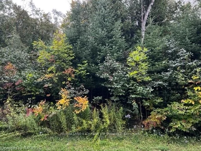 4 Shore Road, Saugeen Shores, On N0h 2l0