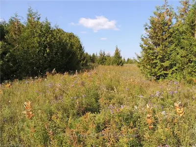 Vacant Land in West Grey