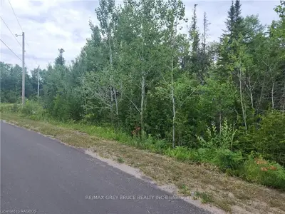 Pcl 2-3 Walter Charman Drive, Northern Bruce Peninsula, On N0h 2r0