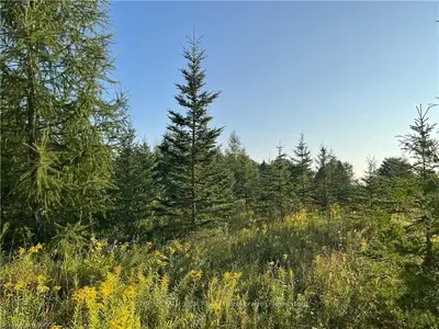 395807 Concession 2 Road, Chatsworth, On N0h 1r0