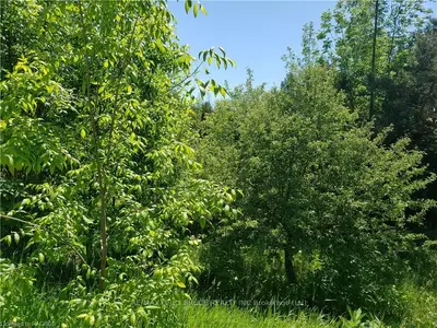 0 Stokes Bay Road, Northern Bruce Peninsula, On N0h 2m0