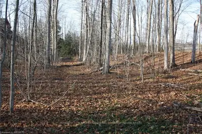 Dorena Crescent, South Bruce Peninsula, On, N0h 2g0