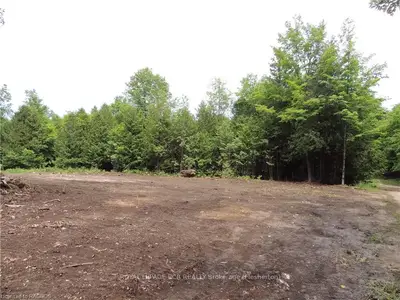 Part Of Lot 13 Penny Lane, Grey Highlands, On N0c 1e0