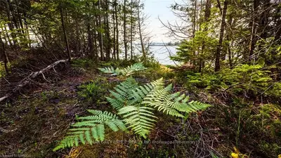 Pt Lt 30 Dorcas Bay Road, Northern Bruce Peninsula, On N0h 2r0