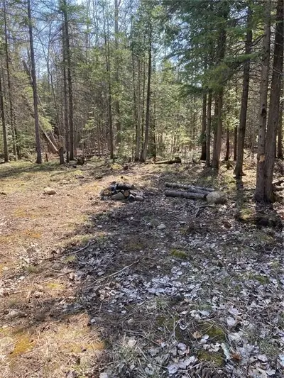44 Miller Lake Road, Northern Bruce Peninsula, On N0h 1z0