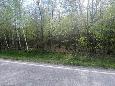 Lot 5 Grey Road 1, Georgian Bluffs, On, N0h 2t0