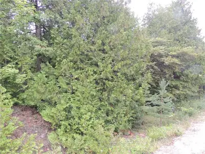 Lot 15 Artemesia Glenelg, West Grey, On, N0c 1k0