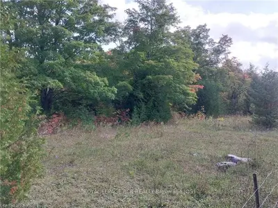 Pt Lt 28 Lindenwood Road, Georgian Bluffs, On N0h 2t0