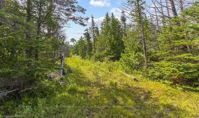 205 East Road, Northern Bruce Peninsula, On N0h 1w0