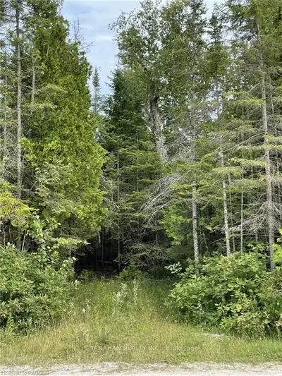PT LT 59 ZORRA Drive, Northern Bruce Peninsula, ON N0H 2R0
