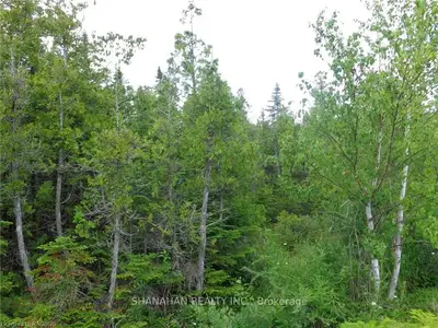 LOT 17 BAY SHORE Avenue S, Northern Bruce Peninsula, ON N0H 2R0