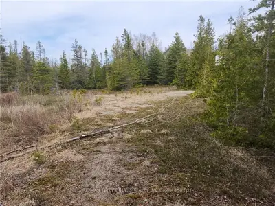 PT LT 15 SILVERSIDES PT Road, Northern Bruce Peninsula, ON N0H 1Z0