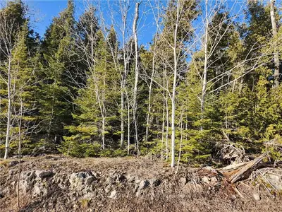 64 TRILLIUM CROSSING, Northern Bruce Peninsula, ON, N0H 1W0