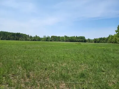 6633 Highway 6 , Northern Bruce Peninsula, ON N0H 2R0