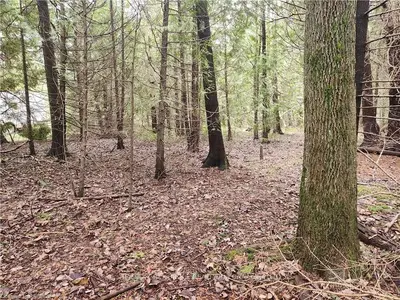 LOT 2 NORBURN Road, Northern Bruce Peninsula, ON N0H 1W0