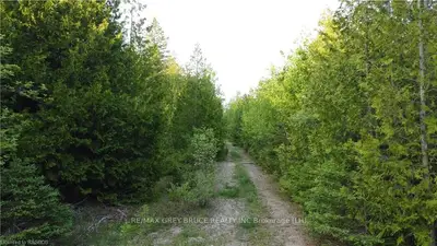 49 MILLER LAKE Road, Northern Bruce Peninsula, ON N0H 1Z0