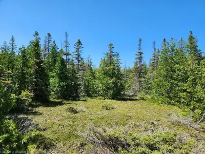 LOT 28 LITTLE PINE Drive, Northern Bruce Peninsula, ON N0H 1Z0