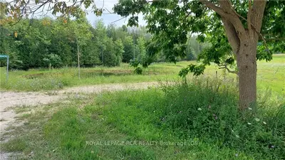 084474 6 Side Road, Meaford, ON N0H 1E0