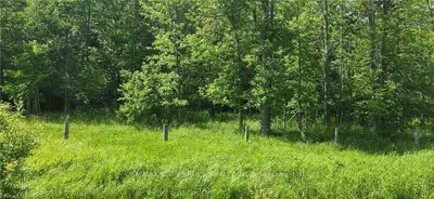 R96870 (SECONDLY) CLARKE'S Road, Northern Bruce Peninsula, ON N0H 1W0