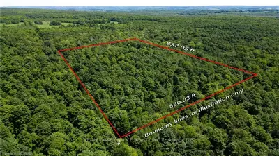 PT LT 12 CONCESSION 6, Meaford, ON, N4K 5N8