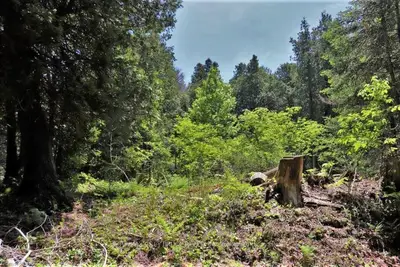 Lot 30 Myles Drive, Northern Bruce Peninsula, ON N0H 2R0