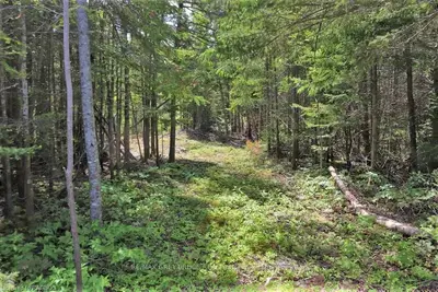 Lot 22 Ray Drive, Northern Bruce Peninsula, ON N0H 2R0
