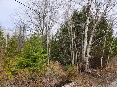 PART LOT 33 CAMERON LAKE Road, Northern Bruce Peninsula, ON N0H 2R0