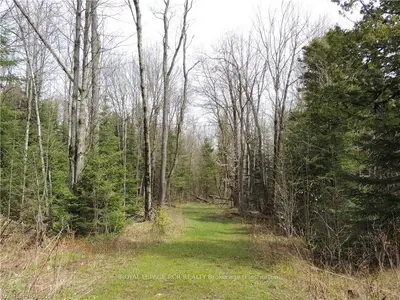 265039 SOUTHGATE ROAD 26, Southgate, ON, N0C 1L0