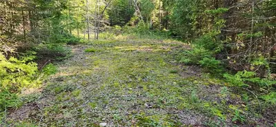 PT LT 10 WHISKEY HARBOUR Road, Northern Bruce Peninsula, ON N0H 1W0