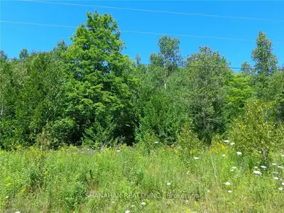 PT LT 26 MILLER LAKE Road, Northern Bruce Peninsula, ON N0M 1Z0