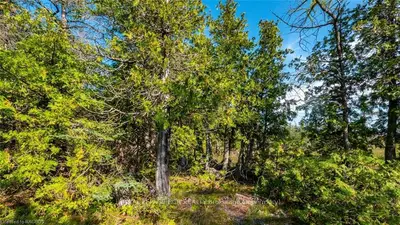 PT LT 30 LINDSAY RD 30 OLD PINE TREE Road, Northern Bruce Peninsula, ON N0H 1Z0