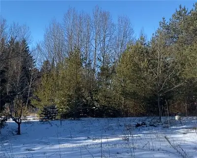 PT LT 7 TORRY Street, Grey Highlands, ON N0C 1K0
