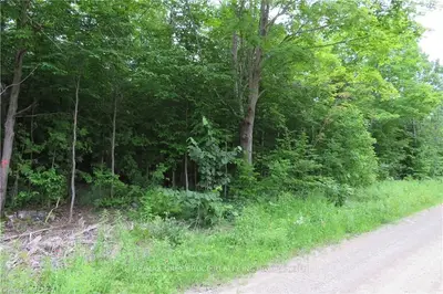 0 LINDSAY ROAD 40, Northern Bruce Peninsula, ON, N0H 1Z0