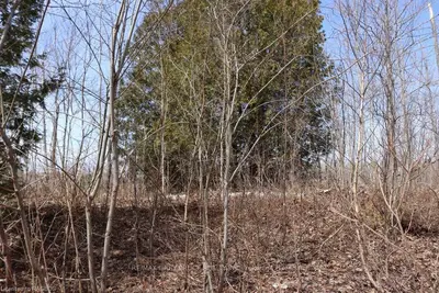 LOT 4 HARKINS Road, Northern Bruce Peninsula, ON N0H 1Z0