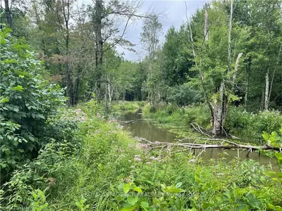 13 12TH Side Road, Georgian Bluffs, ON N4K 5N5