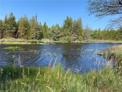 LT 11 PL M60 RAY Drive, Northern Bruce Peninsula, ON N0H 2R0