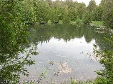 Part Lot 38 Grey Road 4, Grey Highlands, On, N0c 1e0