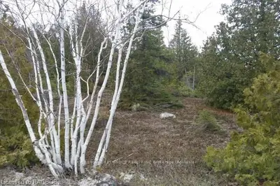 Lot 76 Old Pine Tree Harbour Road, Northern Bruce Peninsula, On N0h 1z0