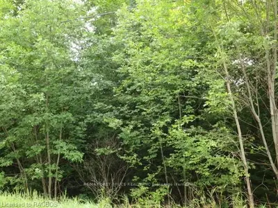 Lot 62 Murray Avenue, Northern Bruce Peninsula, On N0h 1w0