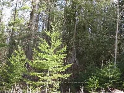 Lot 35 Murray Avenue, Northern Bruce Peninsula, On N0h 2m0