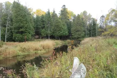 Lot 19 Stokes Bay Road, Northern Bruce Peninsula, On N0h 2m0