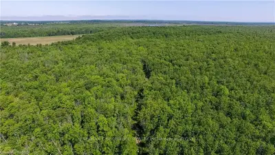 Highway 21, Georgian Bluffs, On, N4k 5n7
