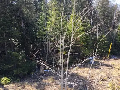 Lot 11 Trillium, Northern Bruce Peninsula, On, N0h 1w0