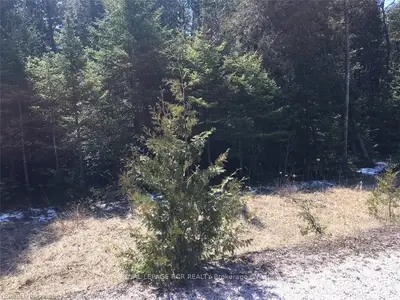 Lot 1 Trillium, Northern Bruce Peninsula, On, N0h 1w0