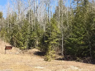 Lot 6 Trillium, Northern Bruce Peninsula, On, N0h 1w0