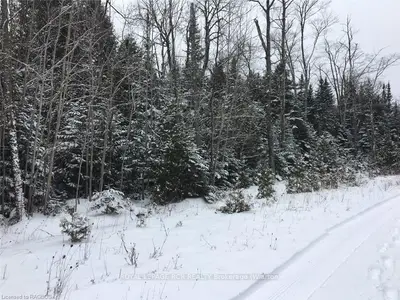 Lot 7 Trillium, Northern Bruce Peninsula, On, N0h 1w0