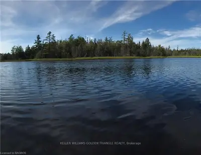 Pt 14 To 17 Concession 3 Ndr, West Grey, On, N4n 3b9