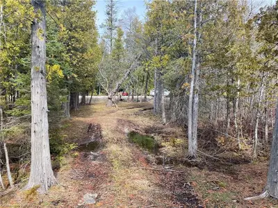 PT LT 5 Road, Northern Bruce Peninsula, ON N0H 2T0