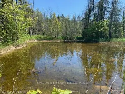 019841 6, Georgian Bluffs, ON N0H 2T0