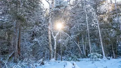 LOT 6 TRILLIUM, Northern Bruce Peninsula, ON N0H 1Z0